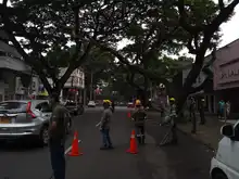 DAGMA atiende situación de riesgo con árbol de gran tamaño  