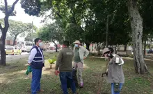 Siembra y restauración de zonas verdes en nuestra amada Cali 