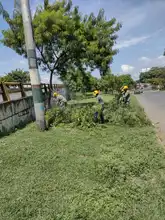 Dagma recupera corredor arbóreo del Puente de los Mil Días