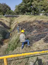 Dagma recupera corredor arbóreo del Puente de los Mil Días