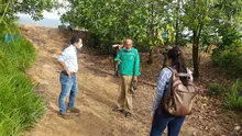 Cerro de la Bandera en el proyecto de Restauración de Ecoparques. 