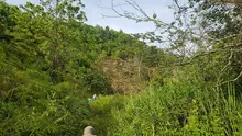 Cerro de la Bandera en el proyecto de Restauración de Ecoparques. 
