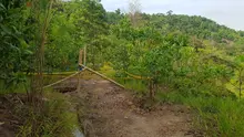 Cerro de la Bandera en el proyecto de Restauración de Ecoparques. 