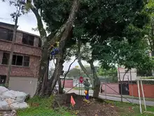 Jornada de recuperación y embellecimiento en el barrio Hernán Eladio Pérez de la comuna 18