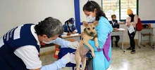 Imagen para boletín