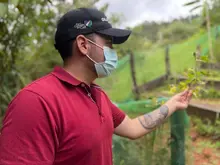 Así avanza el proyecto Huertas por la Vida para el cuidado del medio ambiente 