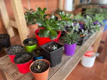 Así avanza el proyecto Huertas por la Vida para el cuidado del medio ambiente 