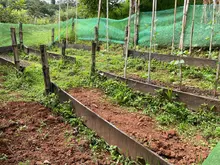 Así avanza el proyecto Huertas por la Vida para el cuidado del medio ambiente 