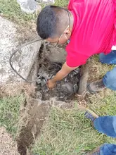Movilidad trabaja en reposición del cableado de red semafórica
