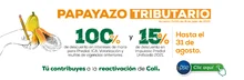 Papayazo y descuento pronto pago de impuestos