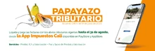 App Impuestos Cali