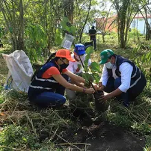 Restauratón ambiental en el Corazón de Pance