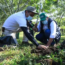 Restauratón ambiental en el Corazón de Pance