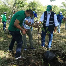Restauratón ambiental en el Corazón de Pance