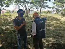Art. 347 Infraestructura realizó compensación arbórea de la ampliación de la vía a Pance