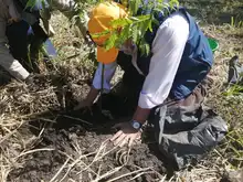 Art. 347 Infraestructura realizó compensación arbórea de la ampliación de la vía a Pance
