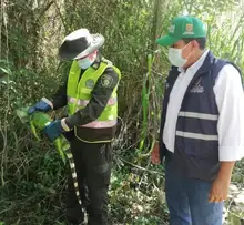 Dagma realizó liberación de especies silvestres rehabilitadas