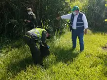 Dagma realizó liberación de especies silvestres rehabilitadas