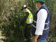 Dagma realizó liberación de especies silvestres rehabilitadas