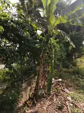 Hoy se realizó la Primera Sesión Ordinaria del Consejo Municipal de Paz