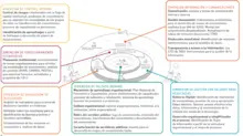 gestión del conocimiento