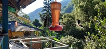 Desde la zona rural también se busca reactivar la economía caleña