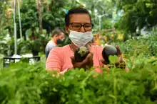 Mercados campesinos en Cali, una opción fresca que apoya la economía local