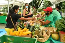 Mercados campesinos en Cali, una opción fresca que apoya la economía local