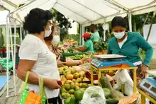 Mercados campesinos en Cali, una opción fresca que apoya la economía local