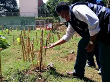 Huertas Urbanas en el barrio Bosques del Limonar, en una Cali unida por la vida