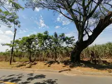Recuperamos 6.209 metros cuadrados de vías de acceso a los corregimientos de Cali