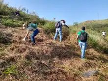 DAGMA y comunidad articulan acciones para prevenir incendios forestales