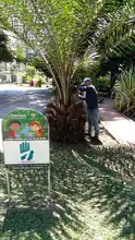 Nuevas zonas verdes apadrinadas por empresas de la ciudad