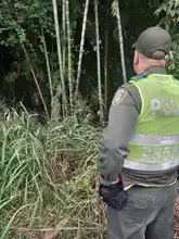 DAGMA y Policía Ambiental protegen la flora silvestre de Cali