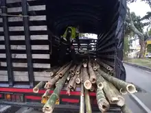 DAGMA y Policía Ambiental protegen la flora silvestre de Cali