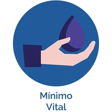 Minimo vital