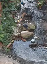 Jornada de Planificación Ambiental en la Comuna 20