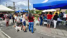 Comunidad y jóvenes de Puerto Madera, en minga por su entorno