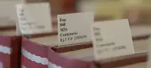 Biblioteca Centenario celebra sus 111 años de fundación