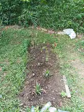 Huerta comunitaria ‘URESA’, paraíso al sur de Cali
