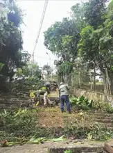 Recuperación ambiental y paisajística en San Antonio por parte del Dagma