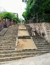 Recuperación ambiental y paisajística en San Antonio por parte del Dagma