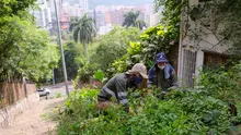 Recuperación ambiental y paisajística en San Antonio por parte del Dagma