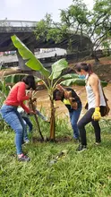 Teatrino del río Cali, con nueva cara para el disfrute de la caleñidad