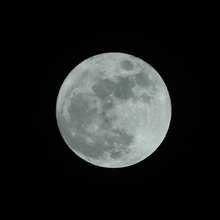Una noche para amar, embellecer y llenar de color a la amada Cali