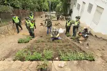 Acciones de reconciliación con el medio ambiente durante el cumpleaños de Cali