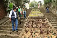 Acciones de reconciliación con el medio ambiente durante el cumpleaños de Cali