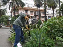 Acciones de reconciliación con el medio ambiente durante el cumpleaños de Cali