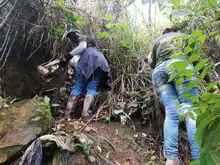 Con caminata al Ecoparque Cerro de La Bandera, Dagma celebró los 485 años de Cali