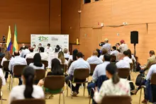 Dagma participa de la Alianza del Pacifico contra el Tráfico Ilegal de Maderas